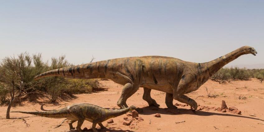 02larutadelosdinosauriosTalampayaLaRioja_1564408912